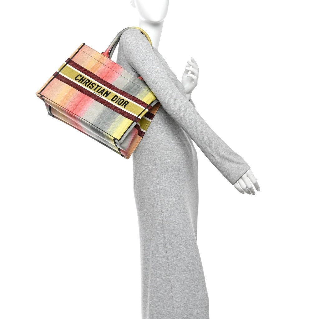 Canvas Embroidered Medium Dioraura Book Tote Multicolor £¨ Direct shipment via from wholesalehk.shop