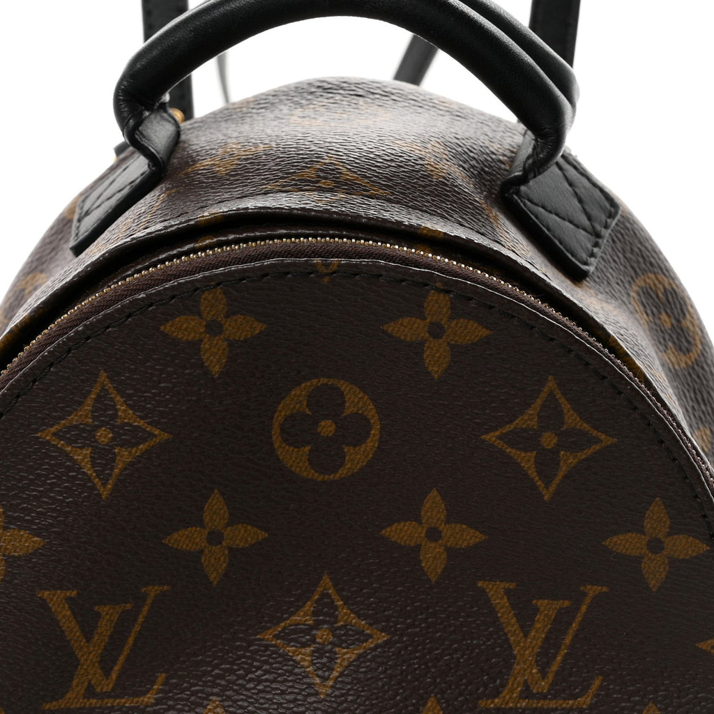 Monogram Palm Springs Backpack Mini £¨ Direct shipment via from wholesalehk.shop