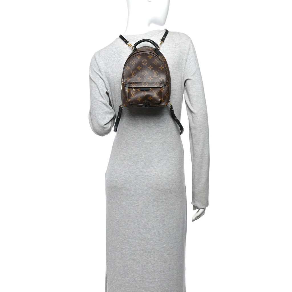 Monogram Palm Springs Backpack Mini £¨ Direct shipment via from wholesalehk.shop