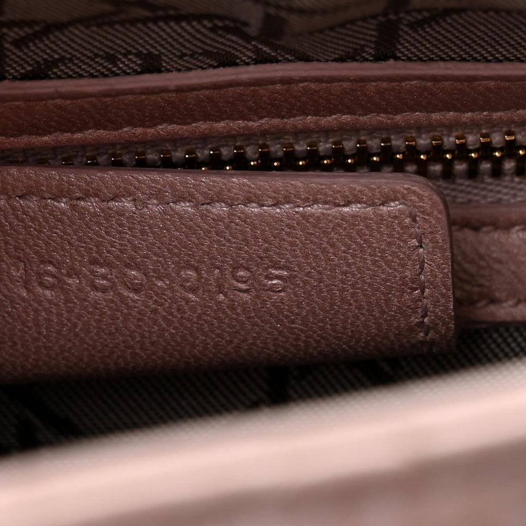 Pearly Lambskin Cannage Medium Lady Dior Lotus wholesalehk.shop
