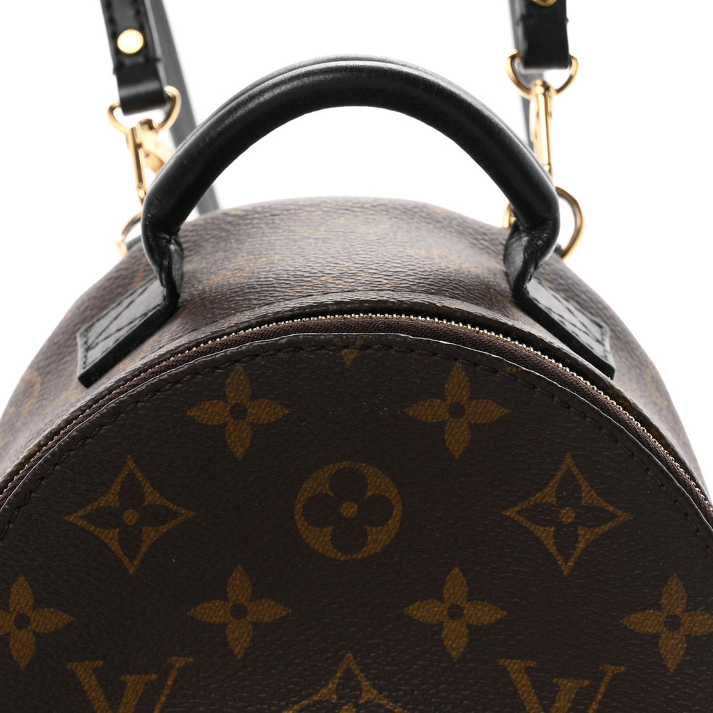 Monogram Palm Springs Backpack Mini £¨ Direct shipment via from wholesalehk.shop