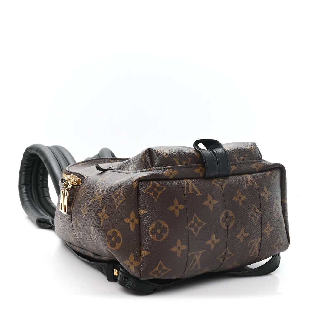 Monogram Palm Springs Backpack PM £¨ Direct shipment via from wholesalehk.shop