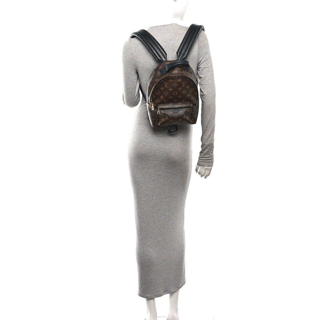 Monogram Palm Springs Backpack Mini £¨ Direct shipment via from wholesalehk.shop