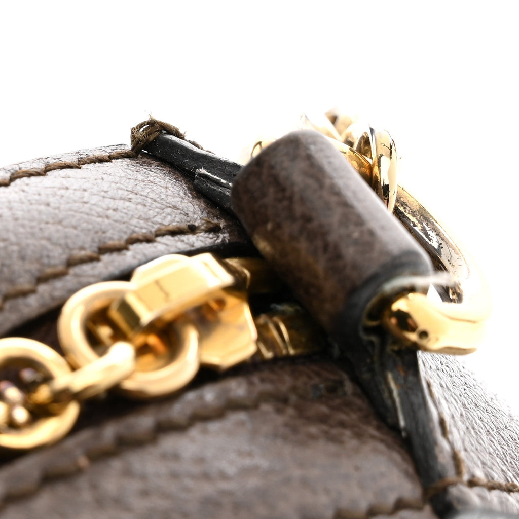 GG Supreme Monogram Web Mini Ophidia Round Shoulder Bag Brown wholesalehk.shop