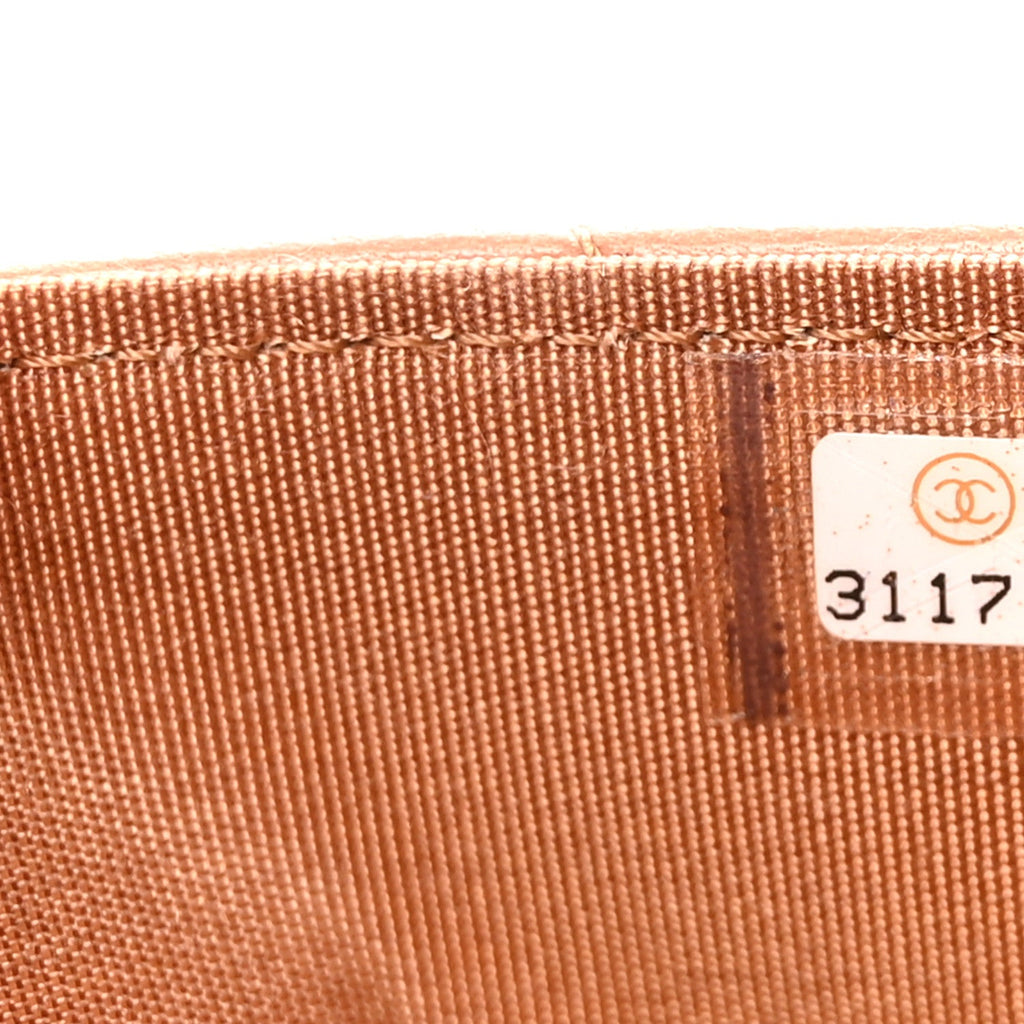 Lambskin Quilted Chanel 19 Wallet On Chain WOC Brown wholesalehk.shop
