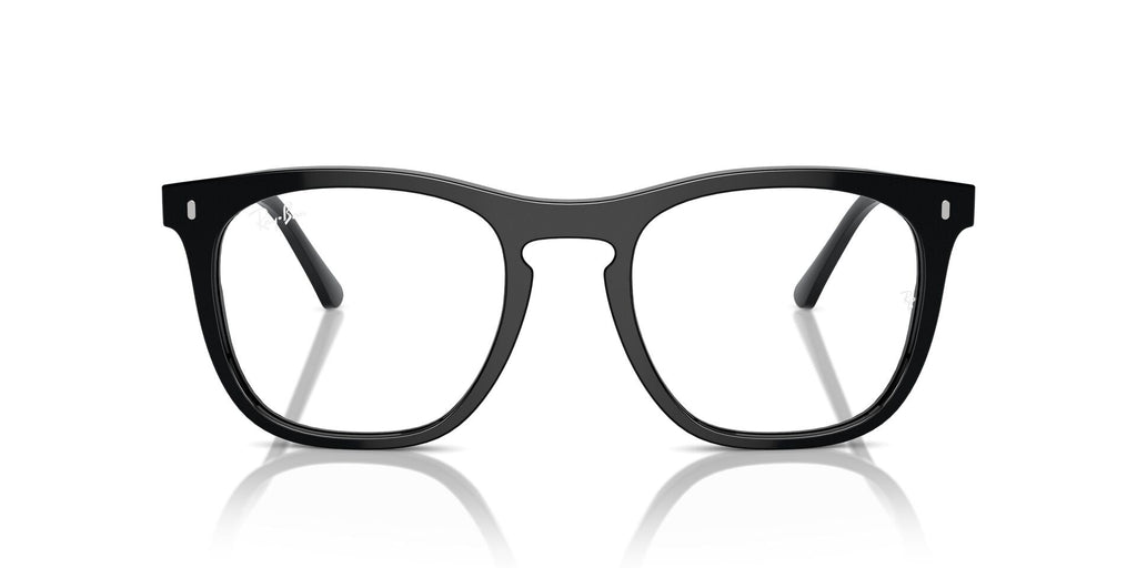 Ray-Ban RB2210V