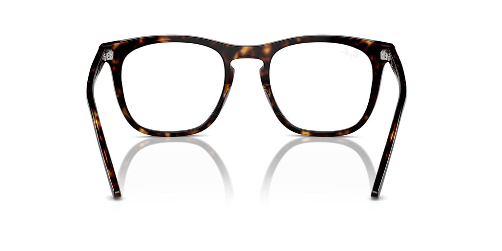 Ray-Ban RB2210V