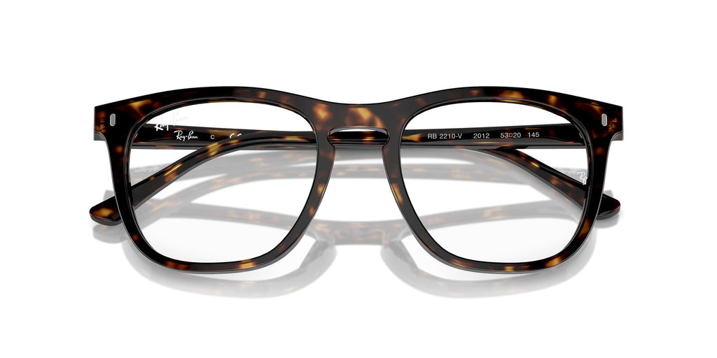 Ray-Ban RB2210V