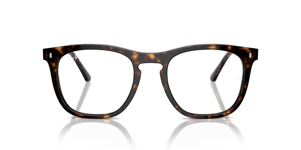 Ray-Ban RB2210V