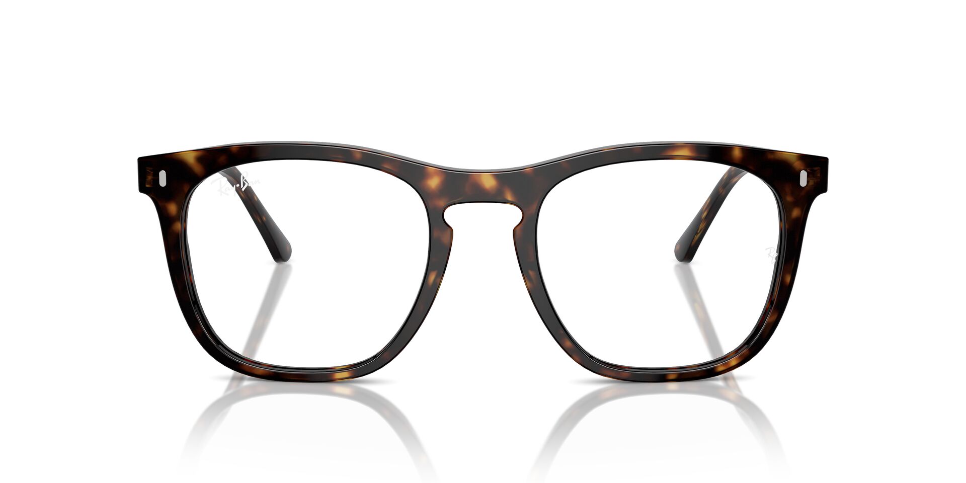 Ray-Ban RB2210V