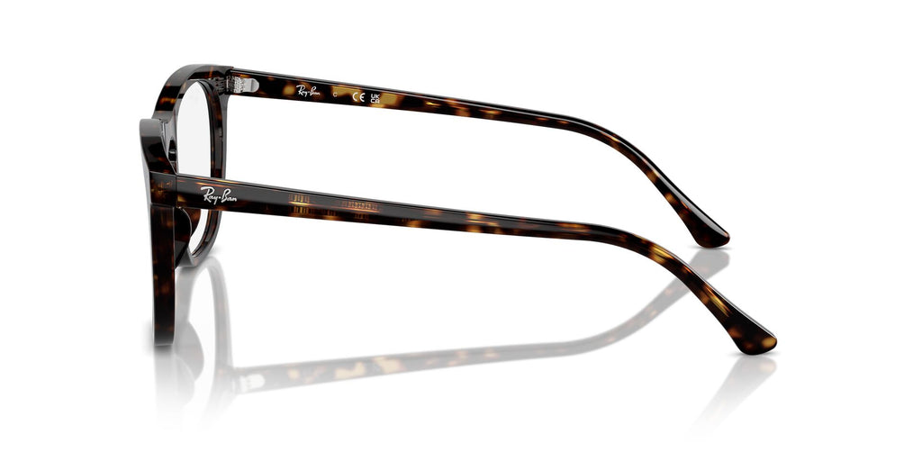 Ray-Ban RB2210V