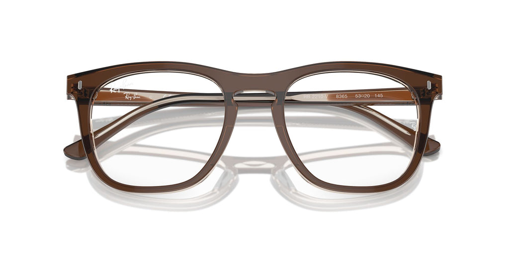 Ray-Ban RB2210V