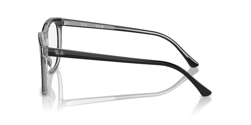 Ray-Ban RB2210V