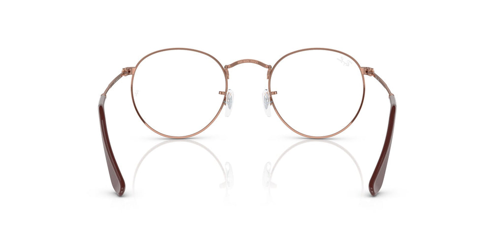 Ray-Ban RB3447V