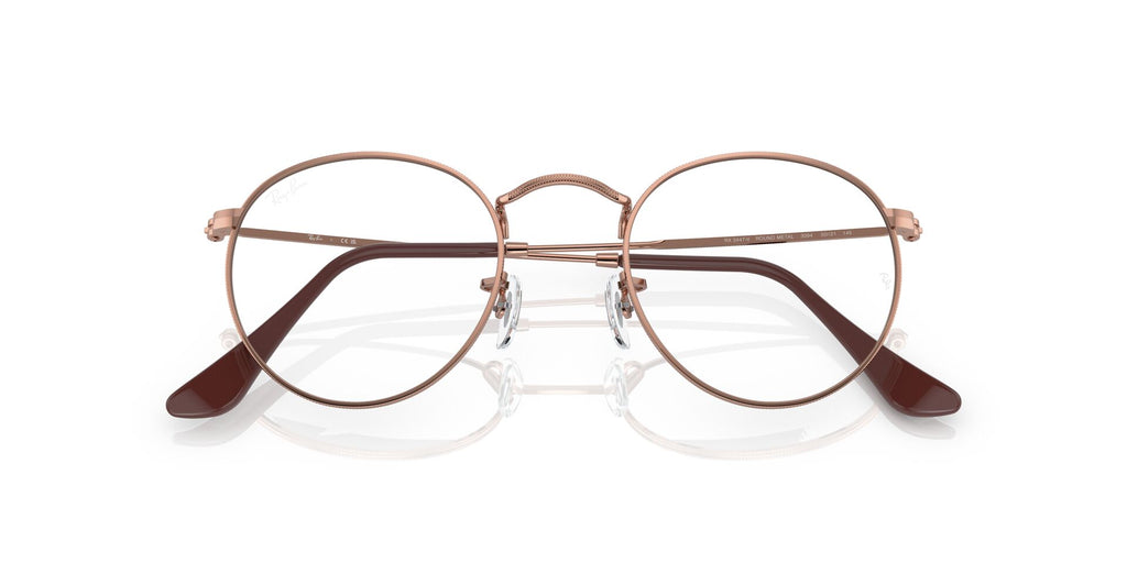 Ray-Ban RB3447V