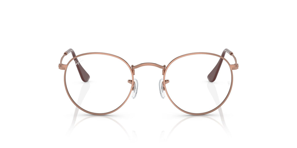 Ray-Ban RB3447V