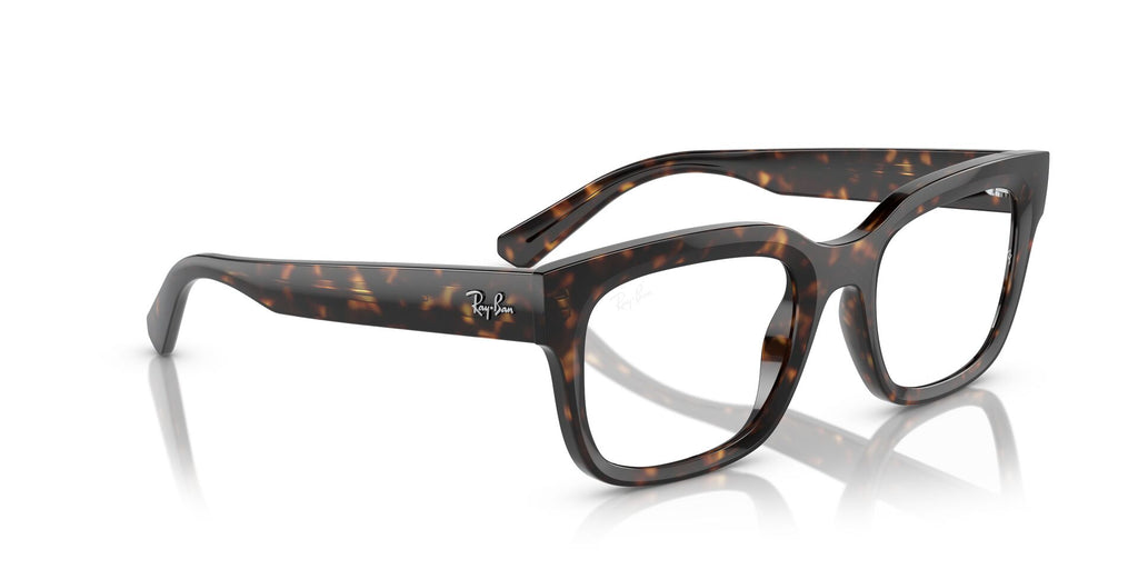 Ray-Ban Chad RB7217