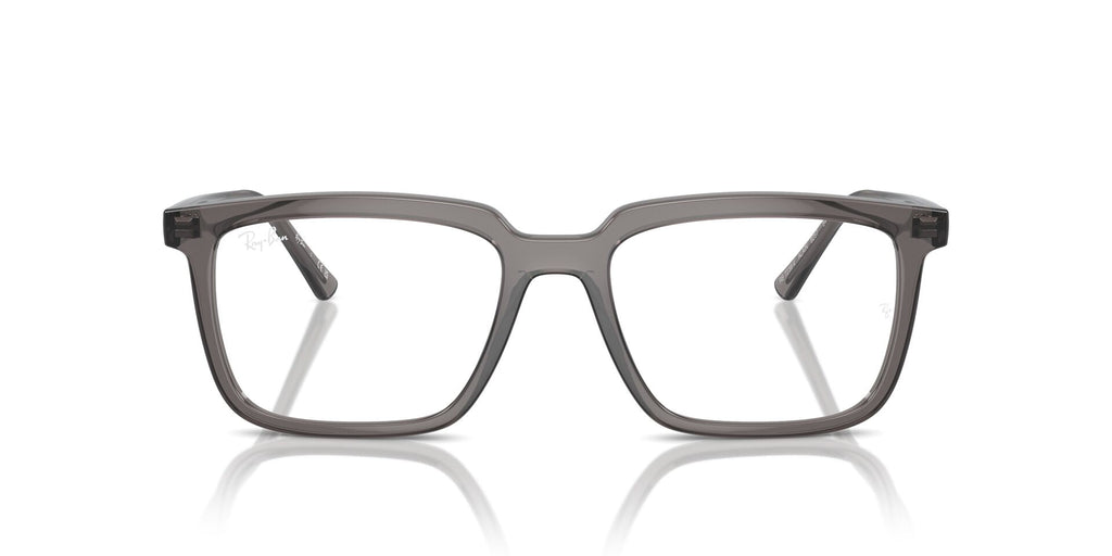 Ray-Ban Alain RB7239