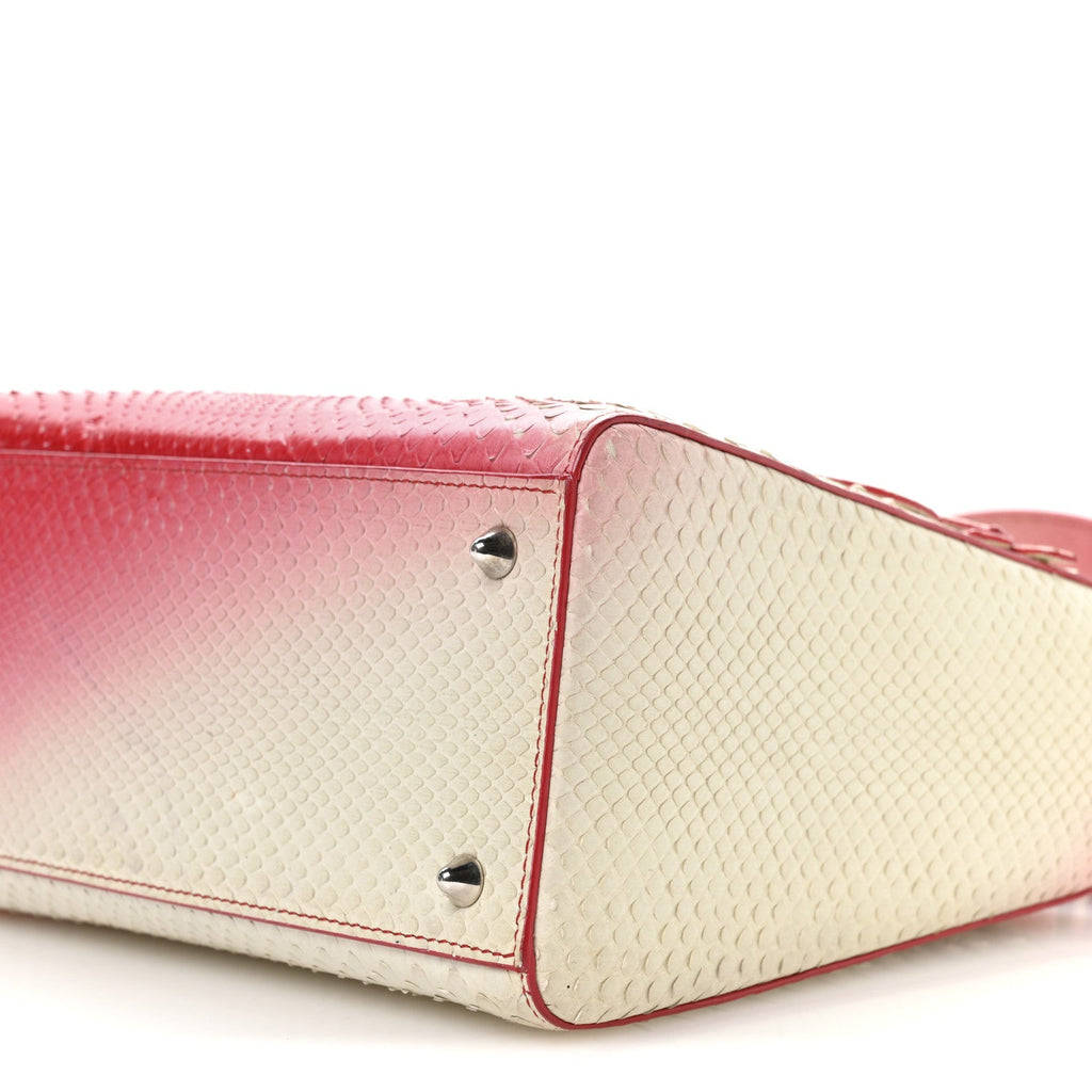 Snakeskin Ombre Medium Lady Dior Red White wholesalehk.shop