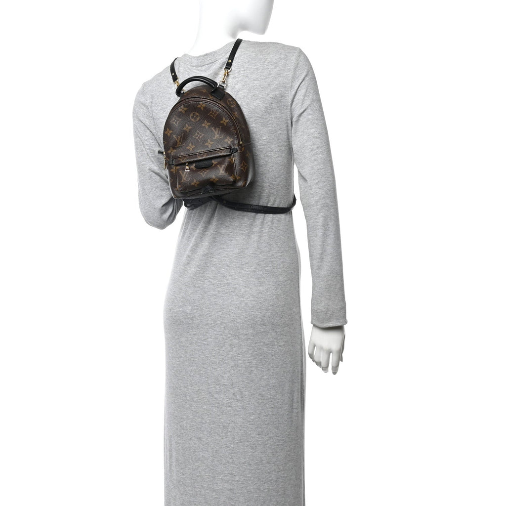 Monogram Palm Springs Backpack Mini £¨ Direct shipment via from wholesalehk.shop