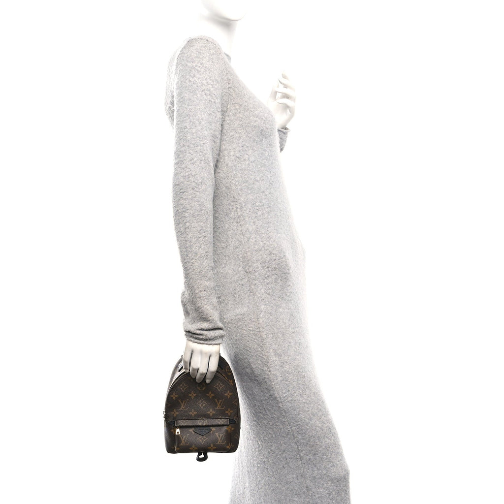 Monogram Palm Springs Backpack Mini £¨ Direct shipment via from wholesalehk.shop