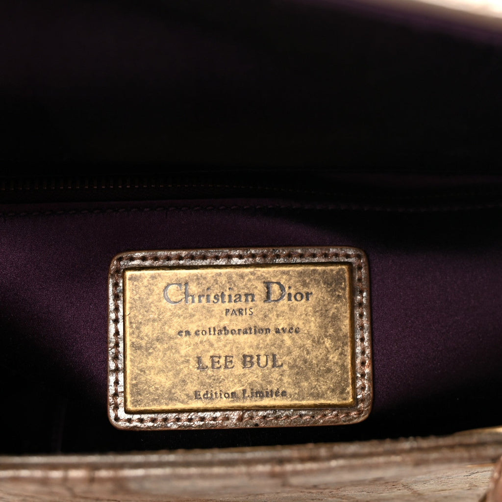 X LEE BUL Treated Calfskin Medium Lady Dior Art Bronze wholesalehk.shop