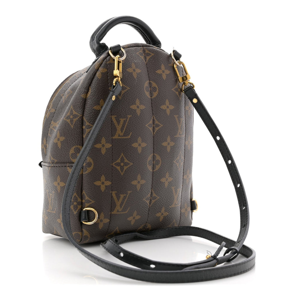 Monogram Palm Springs Backpack Mini £¨ Direct shipment via from wholesalehk.shop