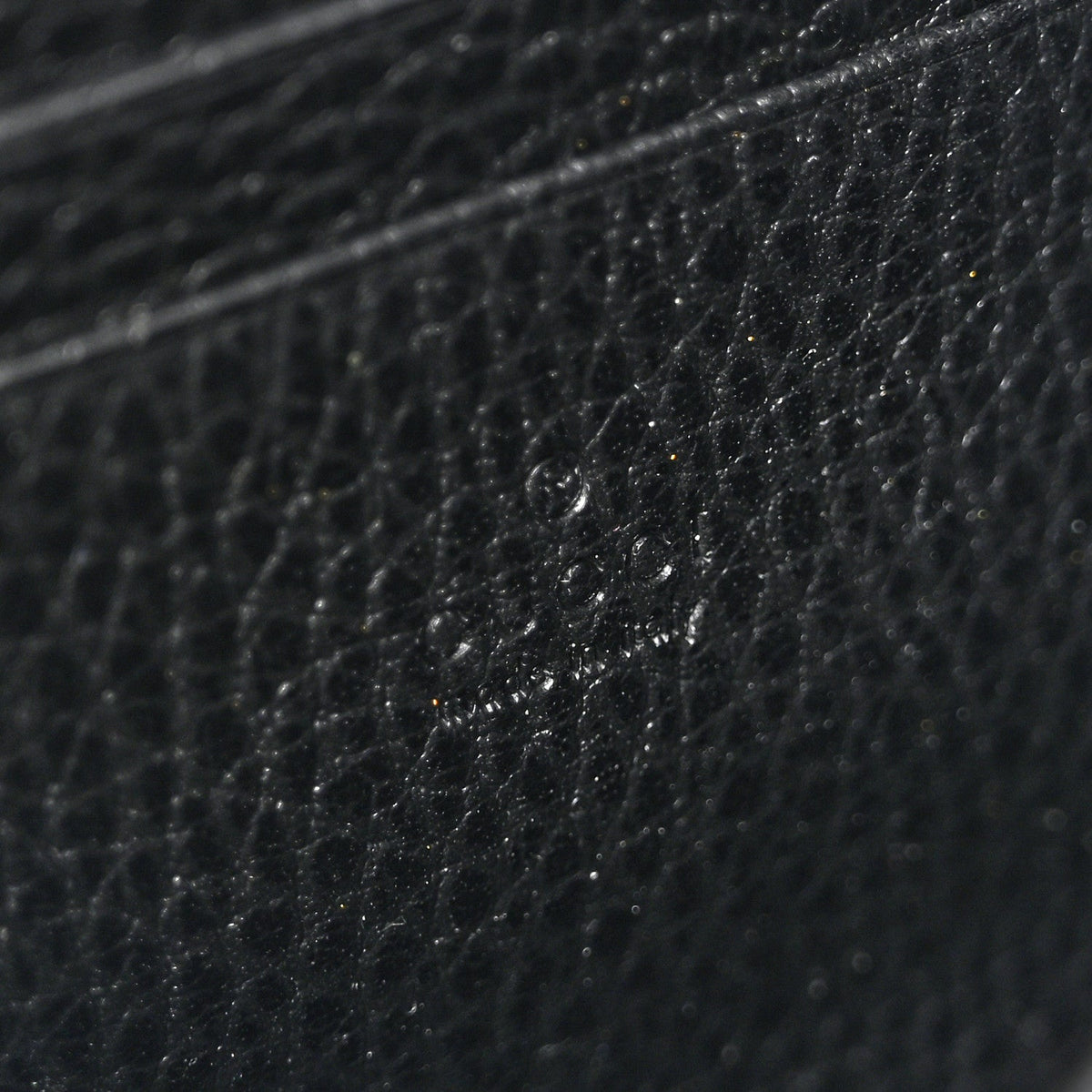 Calfskin Mini Dionysus Chain Wallet Black wholesalehk.shop