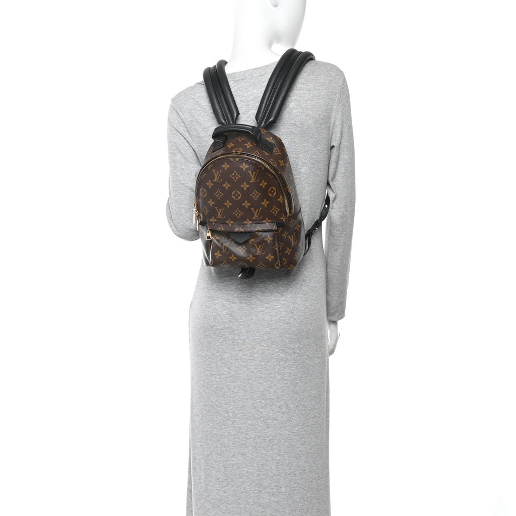Monogram Palm Springs Backpack PM £¨ Direct shipment via from wholesalehk.shop