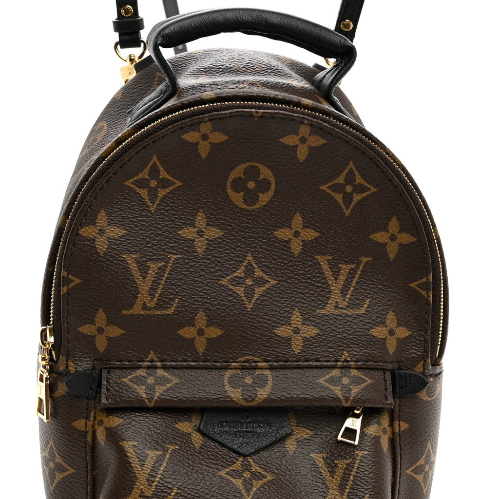 Monogram Palm Springs Backpack Mini £¨ Direct shipment via from wholesalehk.shop