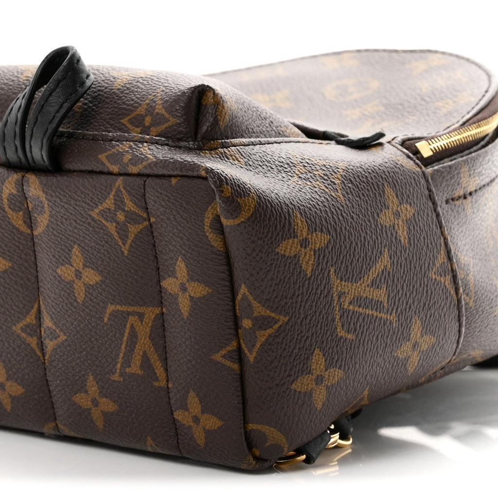 Monogram Palm Springs Backpack Mini £¨ Direct shipment via from wholesalehk.shop