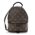 Monogram Palm Springs Backpack Mini £¨ Direct shipment via from wholesalehk.shop