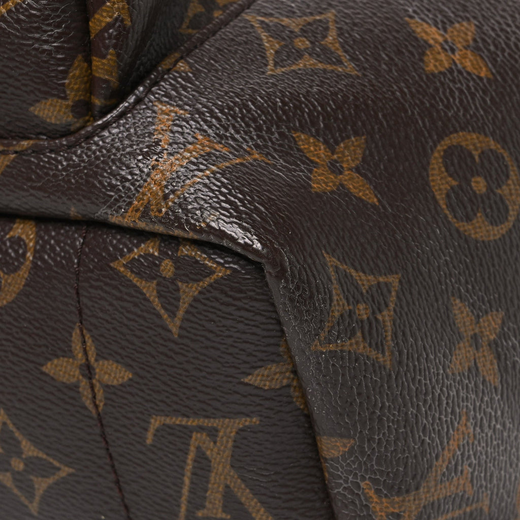 Monogram Palm Springs Backpack MM £¨ Direct shipment via from wholesalehk.shop
