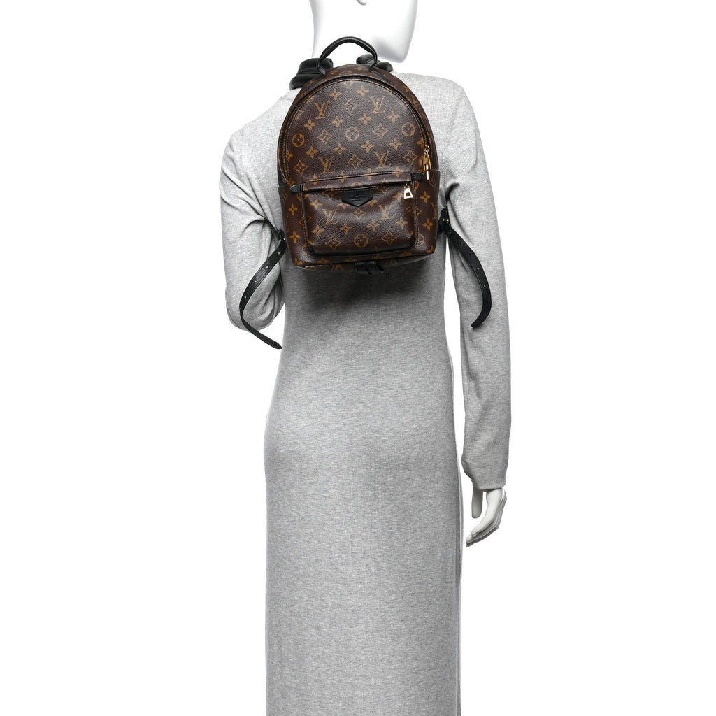 Monogram Palm Springs Backpack PM £¨ Direct shipment via from wholesalehk.shop