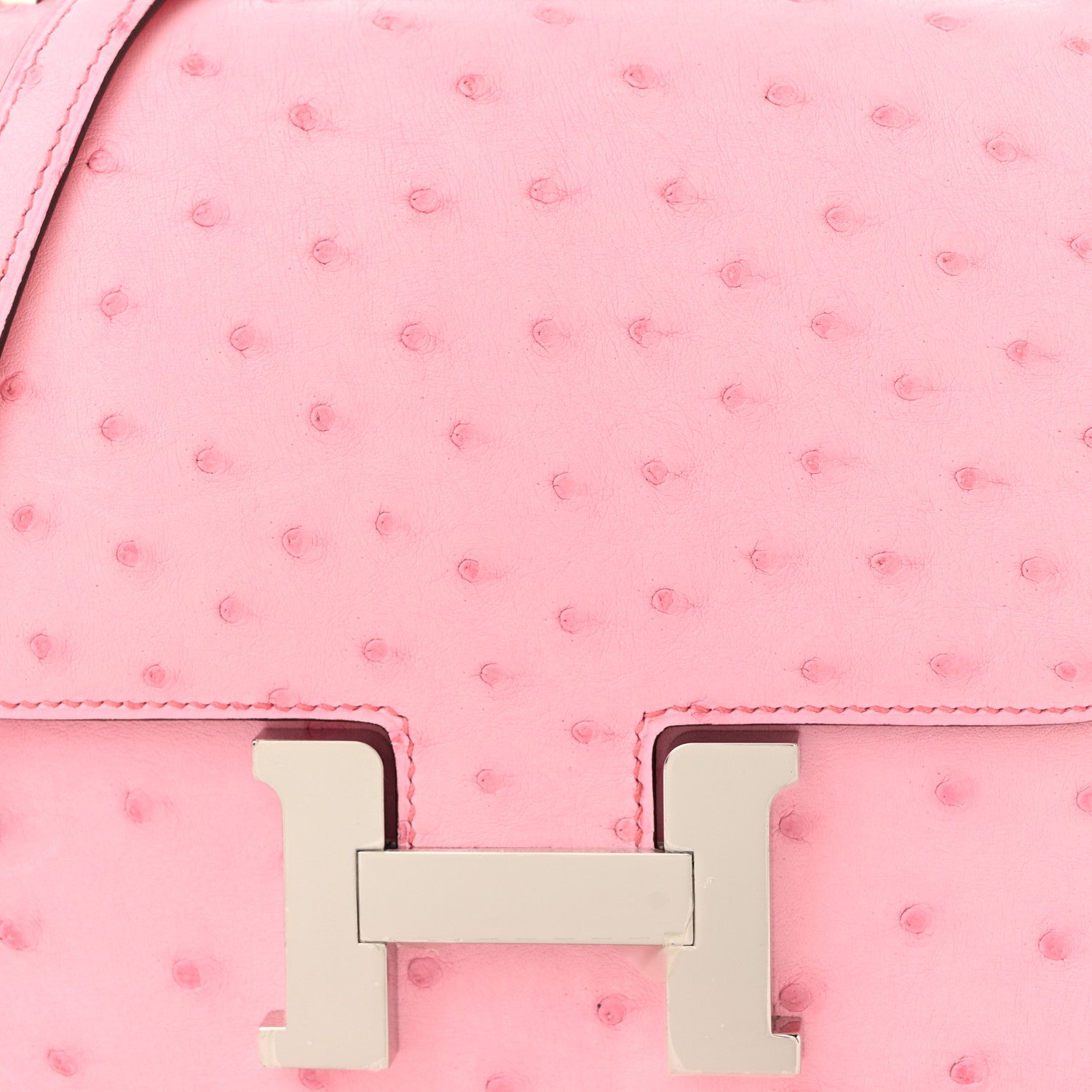 Ostrich Constance 18 Bubblegum £¨ Direct shipment via from wholesalehk.shop