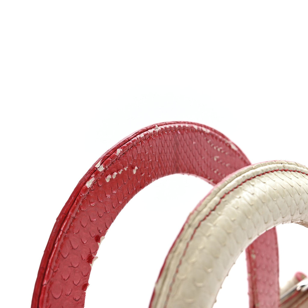 Snakeskin Ombre Medium Lady Dior Red White wholesalehk.shop