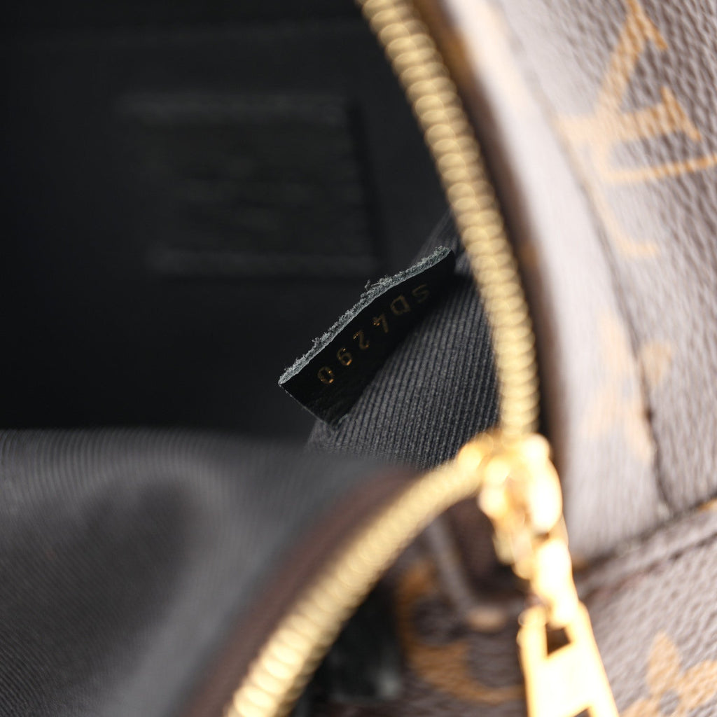 Monogram Palm Springs Backpack Mini £¨ Direct shipment via from wholesalehk.shop
