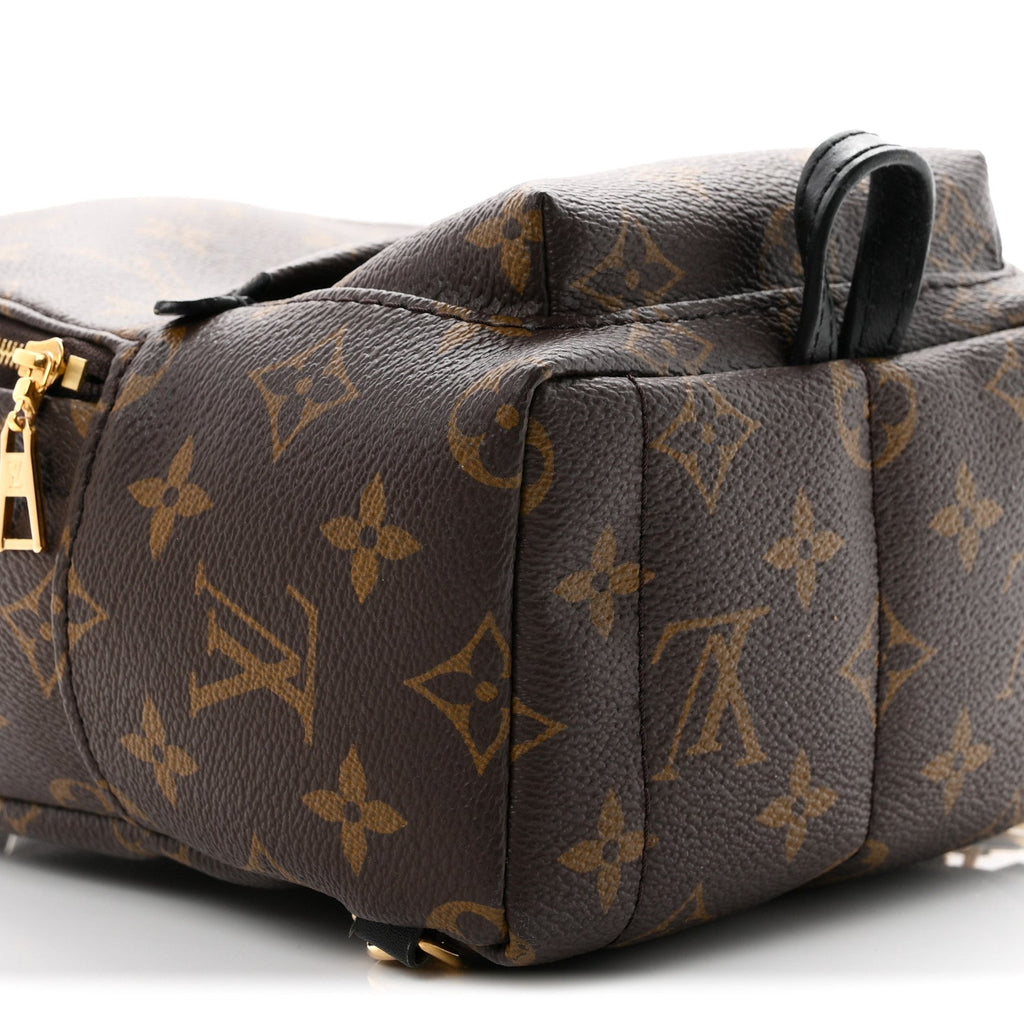 Monogram Palm Springs Backpack Mini £¨ Direct shipment via from wholesalehk.shop