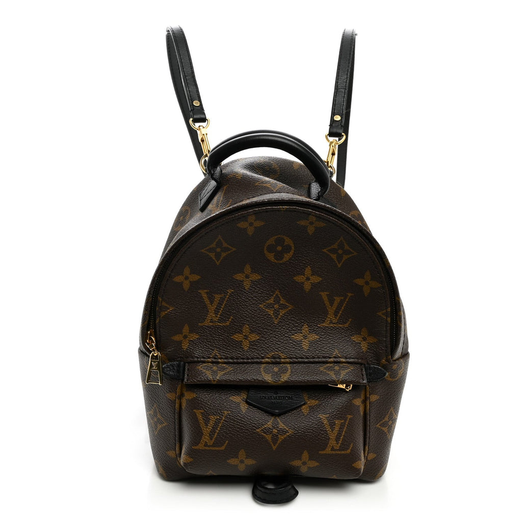 Monogram Palm Springs Backpack Mini £¨ Direct shipment via from wholesalehk.shop