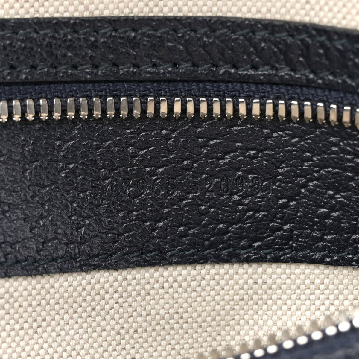 GG Supreme Monogram Textured Dollar Calfskin Web Small Ophidia Day Backpack Beige Blue Black wholesalehk.shop