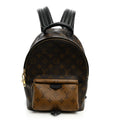 Reverse Monogram Palm Springs Backpack PM £¨ Direct shipment via from wholesalehk.shop