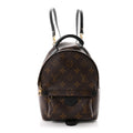 Monogram Palm Springs Backpack Mini £¨ Direct shipment via from wholesalehk.shop