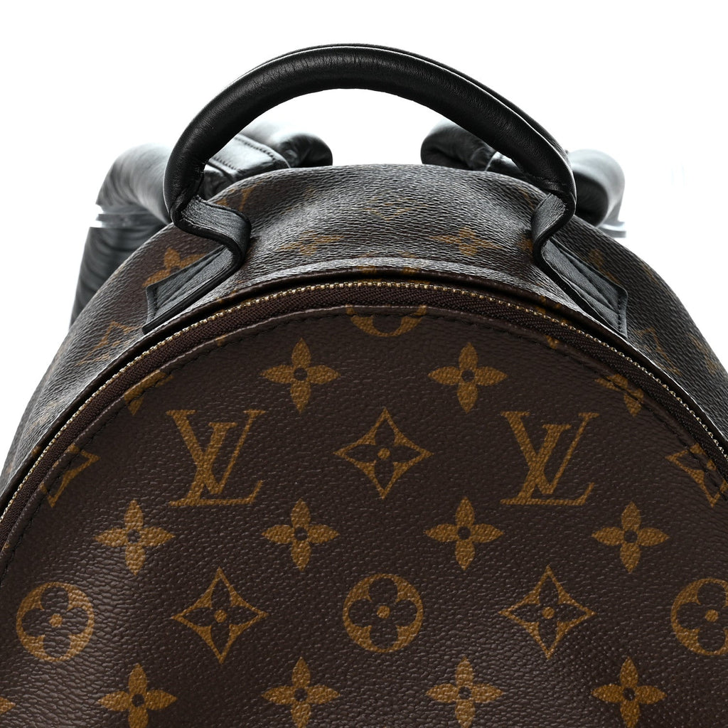 Monogram Palm Springs Backpack PM £¨ Direct shipment via from wholesalehk.shop