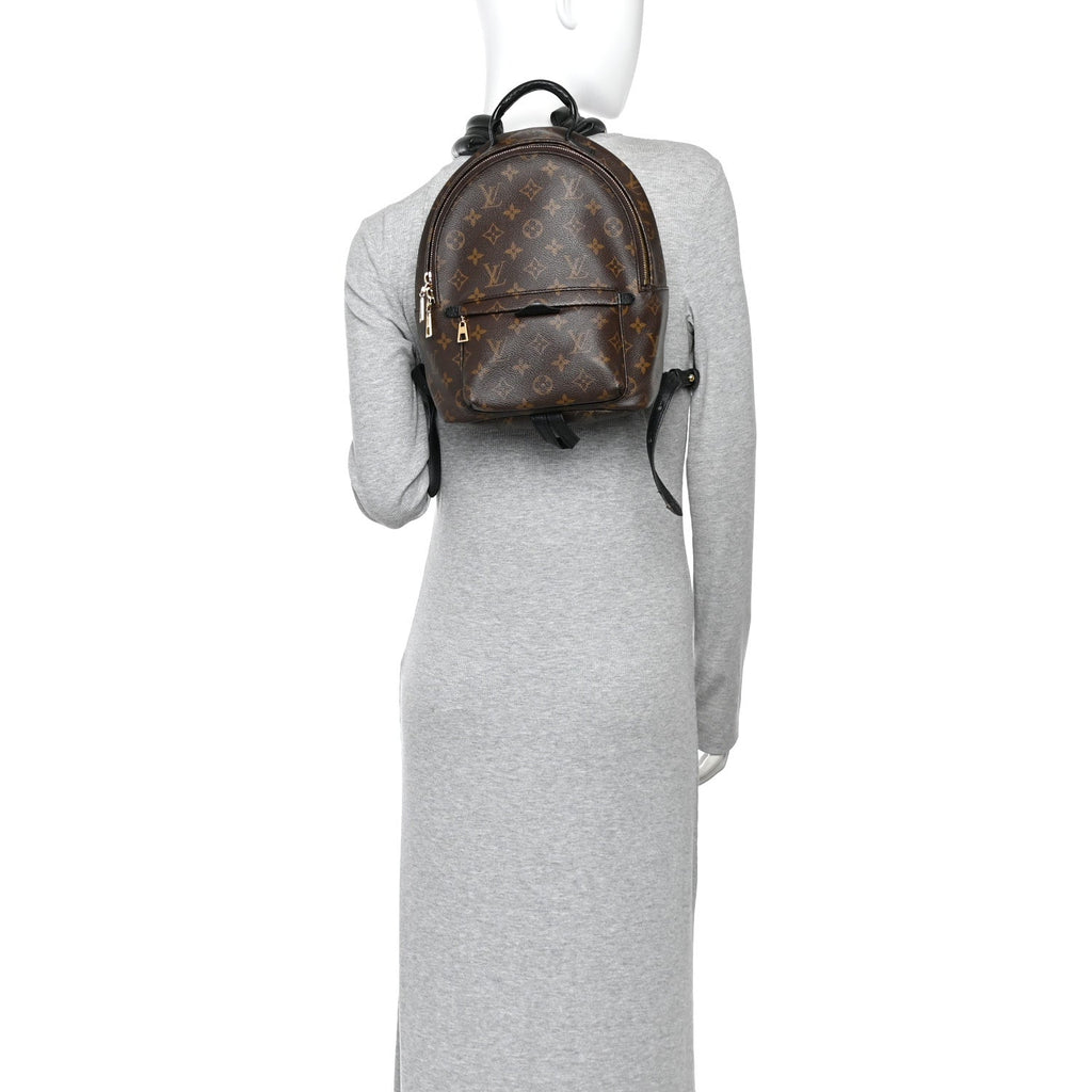 Monogram Palm Springs Backpack PM £¨ Direct shipment via from wholesalehk.shop