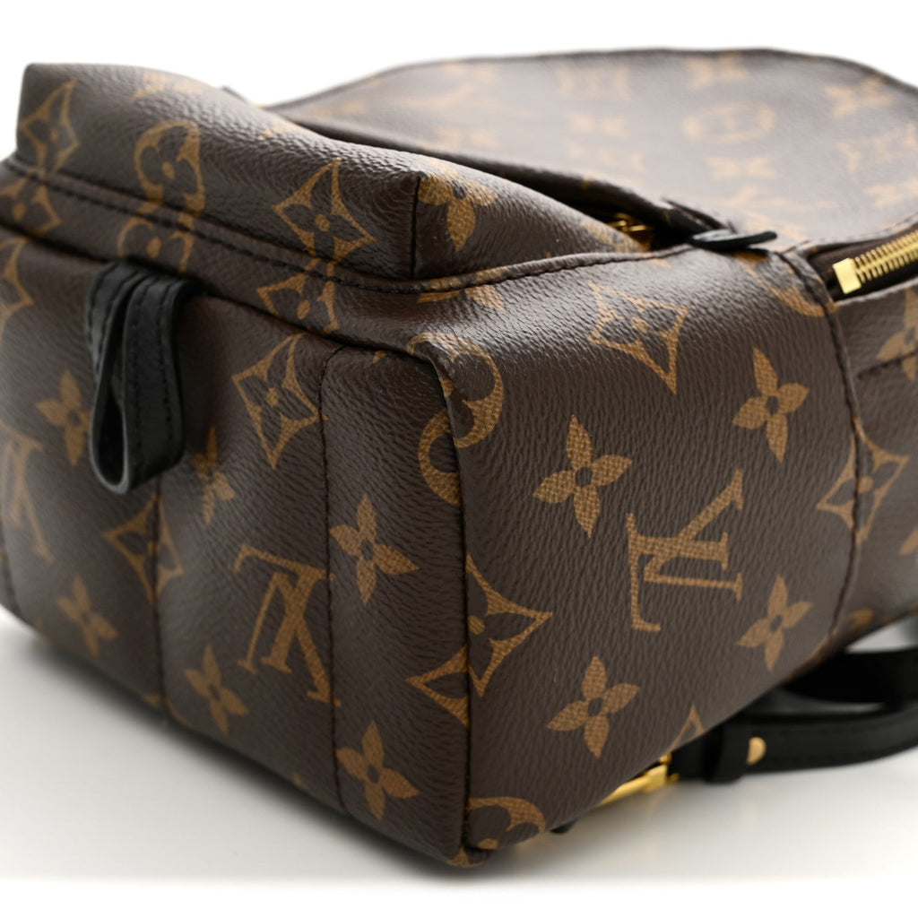 Monogram Palm Springs Backpack Mini £¨ Direct shipment via from wholesalehk.shop