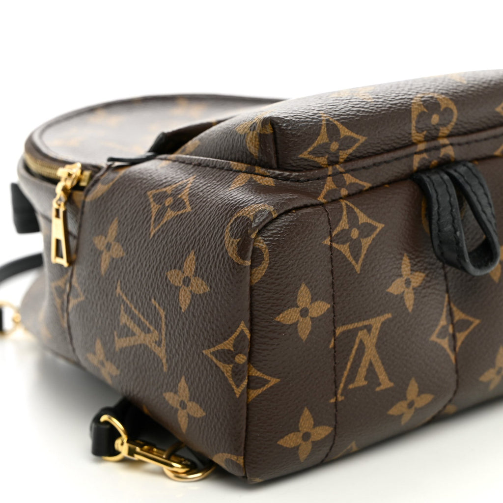 Monogram Palm Springs Backpack Mini £¨ Direct shipment via from wholesalehk.shop