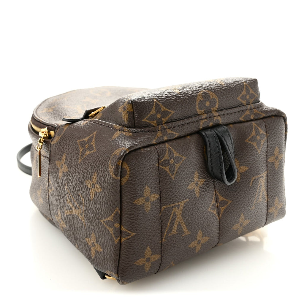 Monogram Palm Springs Backpack Mini £¨ Direct shipment via from wholesalehk.shop