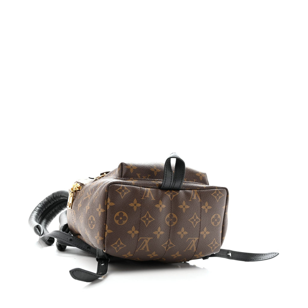 Monogram Palm Springs Backpack PM £¨ Direct shipment via from wholesalehk.shop