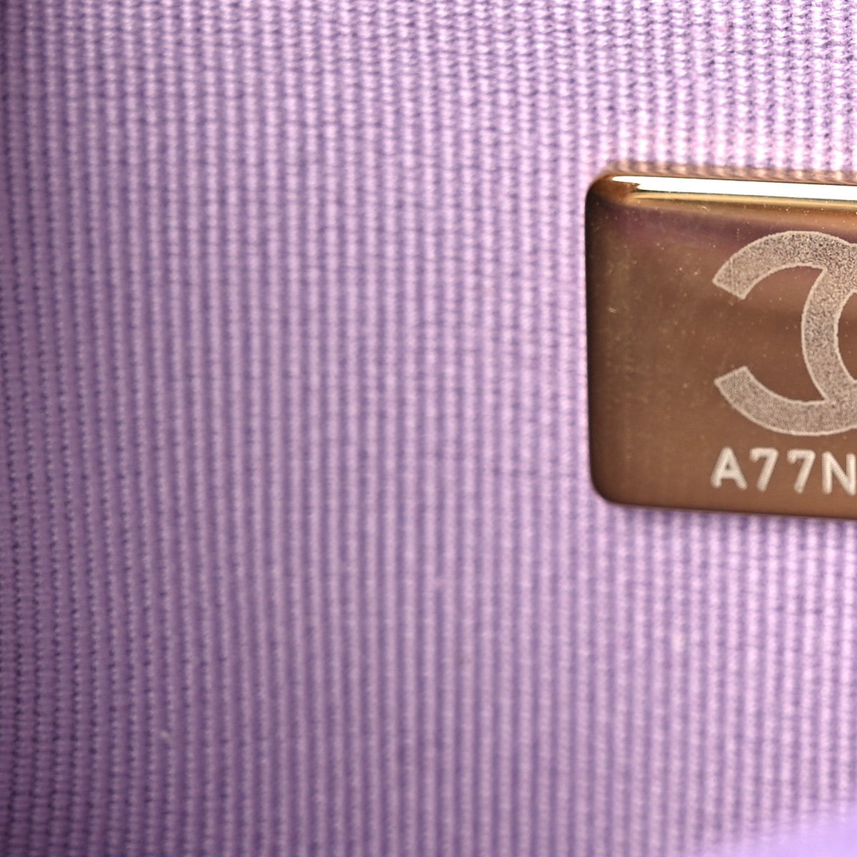 Lambskin Quilted Chanel 19 Wallet On Chain WOC Light Purple wholesalehk.shop