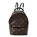 Monogram Palm Springs Backpack Mini £¨ Direct shipment via from wholesalehk.shop
